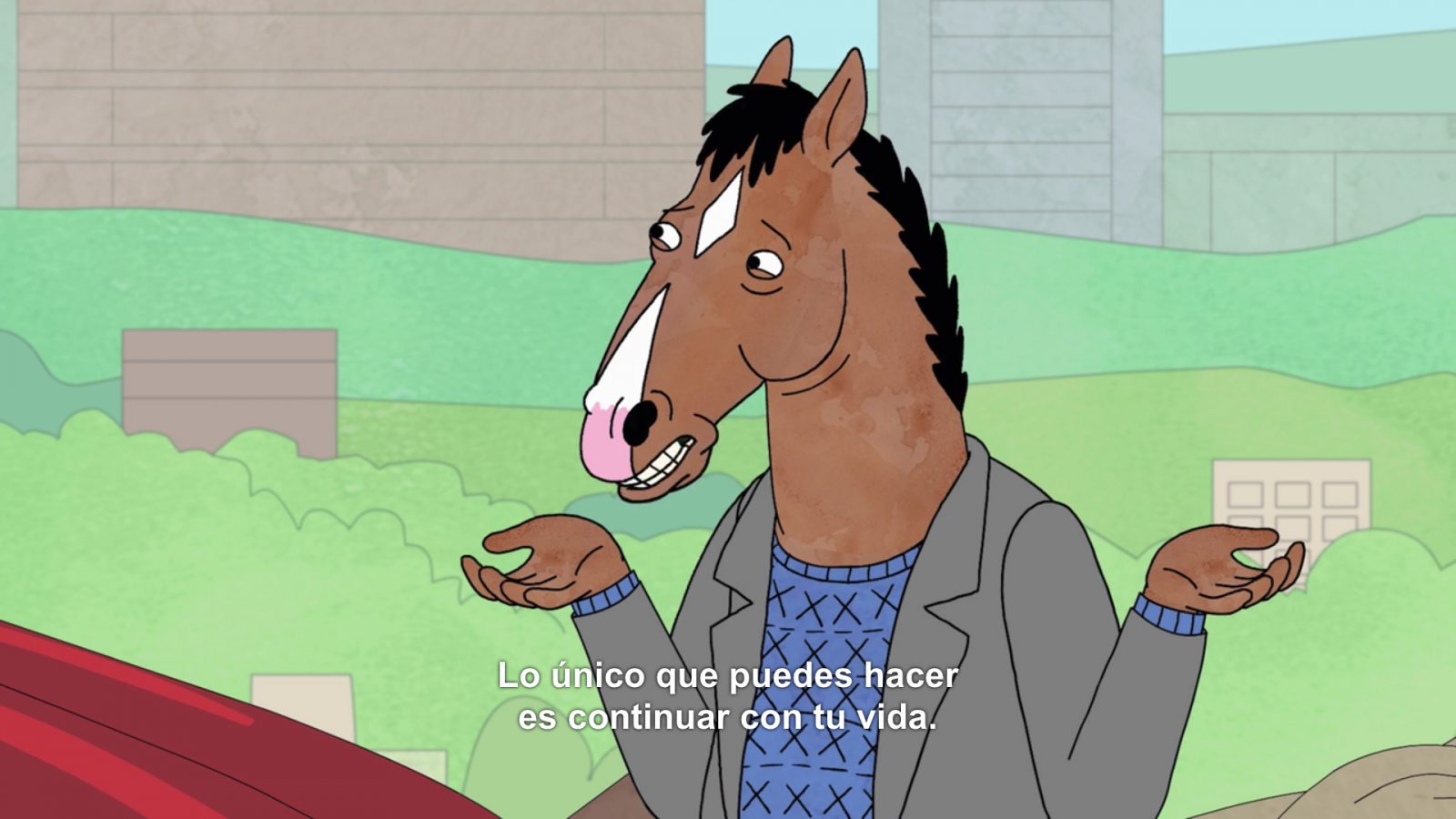 'Bojack Horseman' personajes, mejores frases y final de la serie