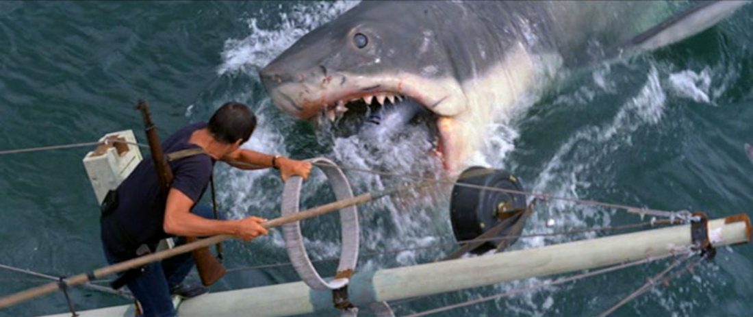 jaws