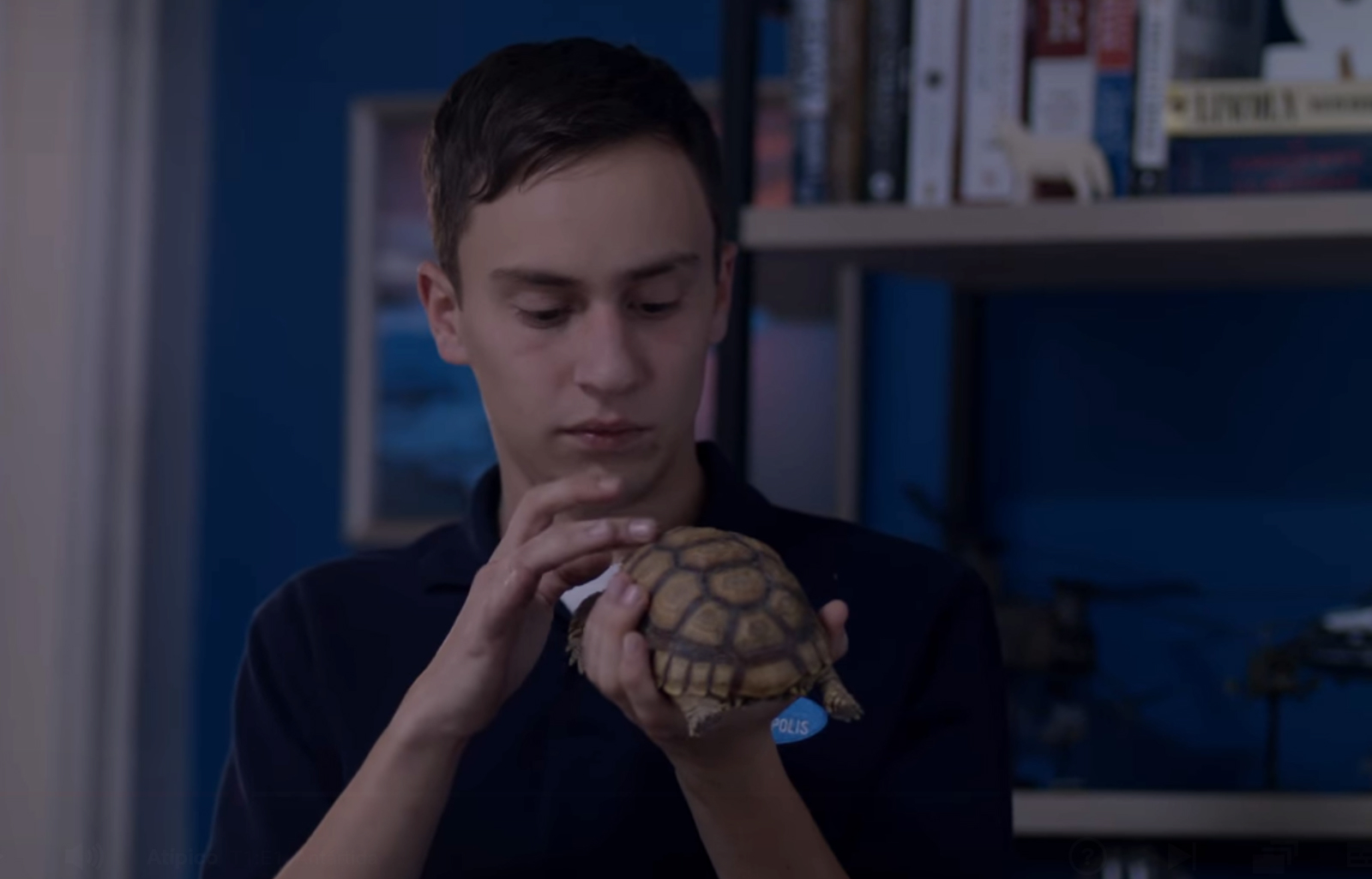 Sam y su tortuga en Atípico