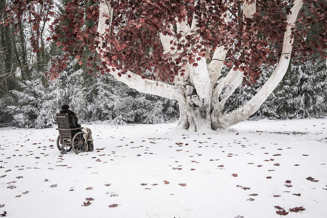 Bran, en el bosque de los dioses.