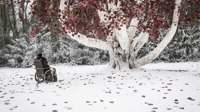 Bran, en el bosque de los dioses.