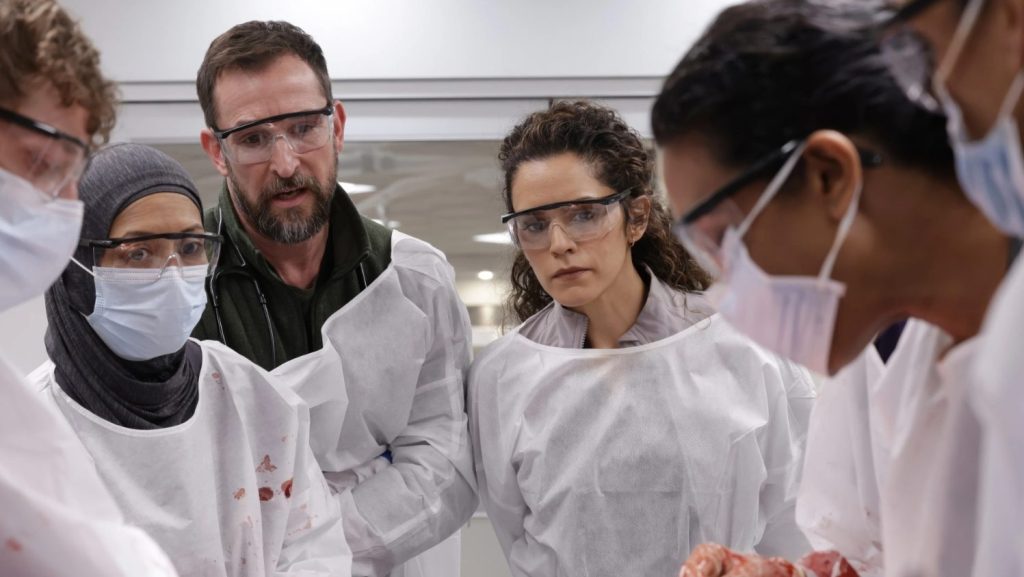 Todas las series nominadas a los Emmys 2026 disponibles en Orange TV